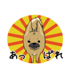 クロハナの年末年始セット[子]（個別スタンプ：15）