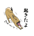 クロハナの年末年始セット[子]（個別スタンプ：19）