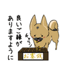 クロハナの年末年始セット[子]（個別スタンプ：24）