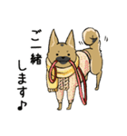 クロハナの年末年始セット[子]（個別スタンプ：25）