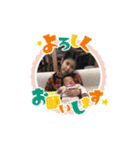 かわいいスタンプ♥️（個別スタンプ：12）