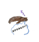 HOT CAT'S（個別スタンプ：3）