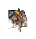 HOT CAT'S（個別スタンプ：8）