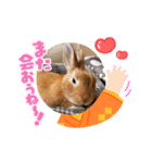 モカスタンプpart1（個別スタンプ：16）