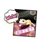 ヒョウモントカゲモドキちゃん①（個別スタンプ：2）