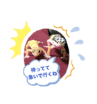 ヒョウモントカゲモドキちゃん①（個別スタンプ：6）