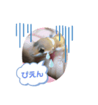 ヒョウモントカゲモドキちゃん①（個別スタンプ：9）