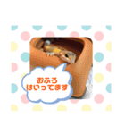 ヒョウモントカゲモドキちゃん①（個別スタンプ：11）