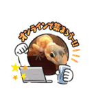 ヒョウモントカゲモドキちゃん①（個別スタンプ：24）