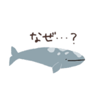 クジラが好きな人のためのスタンプ（個別スタンプ：6）