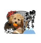 LUKUは天使（個別スタンプ：1）