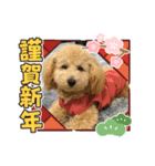 LUKUは天使（個別スタンプ：2）