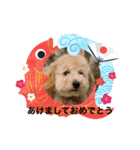 LUKUは天使（個別スタンプ：4）