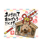 LUKUは天使（個別スタンプ：5）