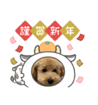LUKUは天使（個別スタンプ：6）