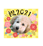 LUKUは天使（個別スタンプ：8）