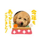 LUKUは天使（個別スタンプ：9）