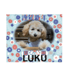LUKUは天使（個別スタンプ：13）