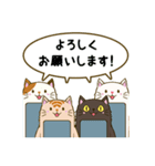 ねこでんわ（個別スタンプ：1）