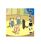 ねこでんわ（個別スタンプ：8）