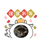 2020お正月⭐️つつみん'sニャンズ（個別スタンプ：3）