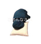 fam(改正3)（個別スタンプ：37）