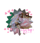アキクサインコちゃん（個別スタンプ：3）