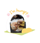 アキクサインコちゃん（個別スタンプ：6）