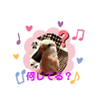 アキクサインコちゃん（個別スタンプ：7）