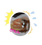 アキクサインコちゃん（個別スタンプ：18）