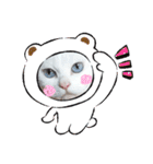 cat ＆ yume（個別スタンプ：2）