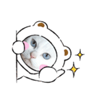 cat ＆ yume（個別スタンプ：4）