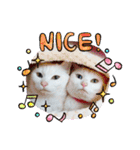 cat ＆ yume（個別スタンプ：6）