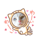 cat ＆ yume（個別スタンプ：11）