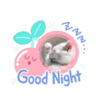 cat ＆ yume（個別スタンプ：13）
