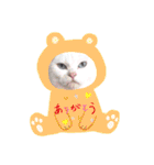 cat ＆ yume（個別スタンプ：15）