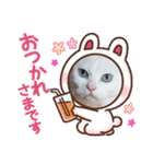 cat ＆ yume（個別スタンプ：19）