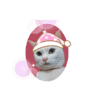 cat ＆ yume（個別スタンプ：24）