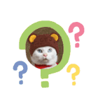 cat ＆ yume（個別スタンプ：30）