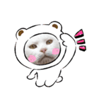 cat ＆ yume（個別スタンプ：31）
