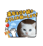 cat ＆ yume（個別スタンプ：35）