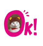 cat ＆ yume（個別スタンプ：37）