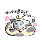 cat ＆ yume（個別スタンプ：39）