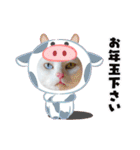 cat ＆ yume（個別スタンプ：40）