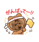CHEBU  2（個別スタンプ：1）