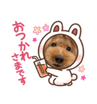CHEBU  2（個別スタンプ：9）
