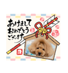 CHEBU  2（個別スタンプ：11）
