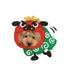 CHEBU  2（個別スタンプ：12）
