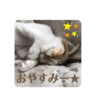 ふくちゃんまん（個別スタンプ：3）