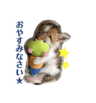 ふくちゃんまん（個別スタンプ：4）